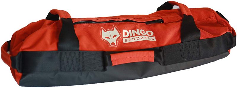 dingo sandbag fitness
